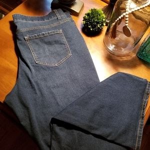 Terra & Sky Women's Plus Size Jeans
